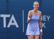 九游娱乐-关于科维托娃新星问鼎冠军表现惊艳，IG未来可期！的信息