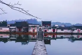  徽州雄鲨队击败江畔山猫队，拳击杯赛上演裁判判罚引热议！中场绞杀压制对手