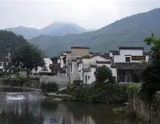  徽州雄鲨队击败江畔山猫队，拳击杯赛上演裁判判罚引热议！中场绞杀压制对手